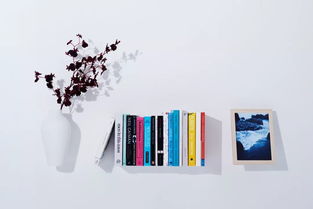 这个会隐身的酒店 是通往二次元的传送门